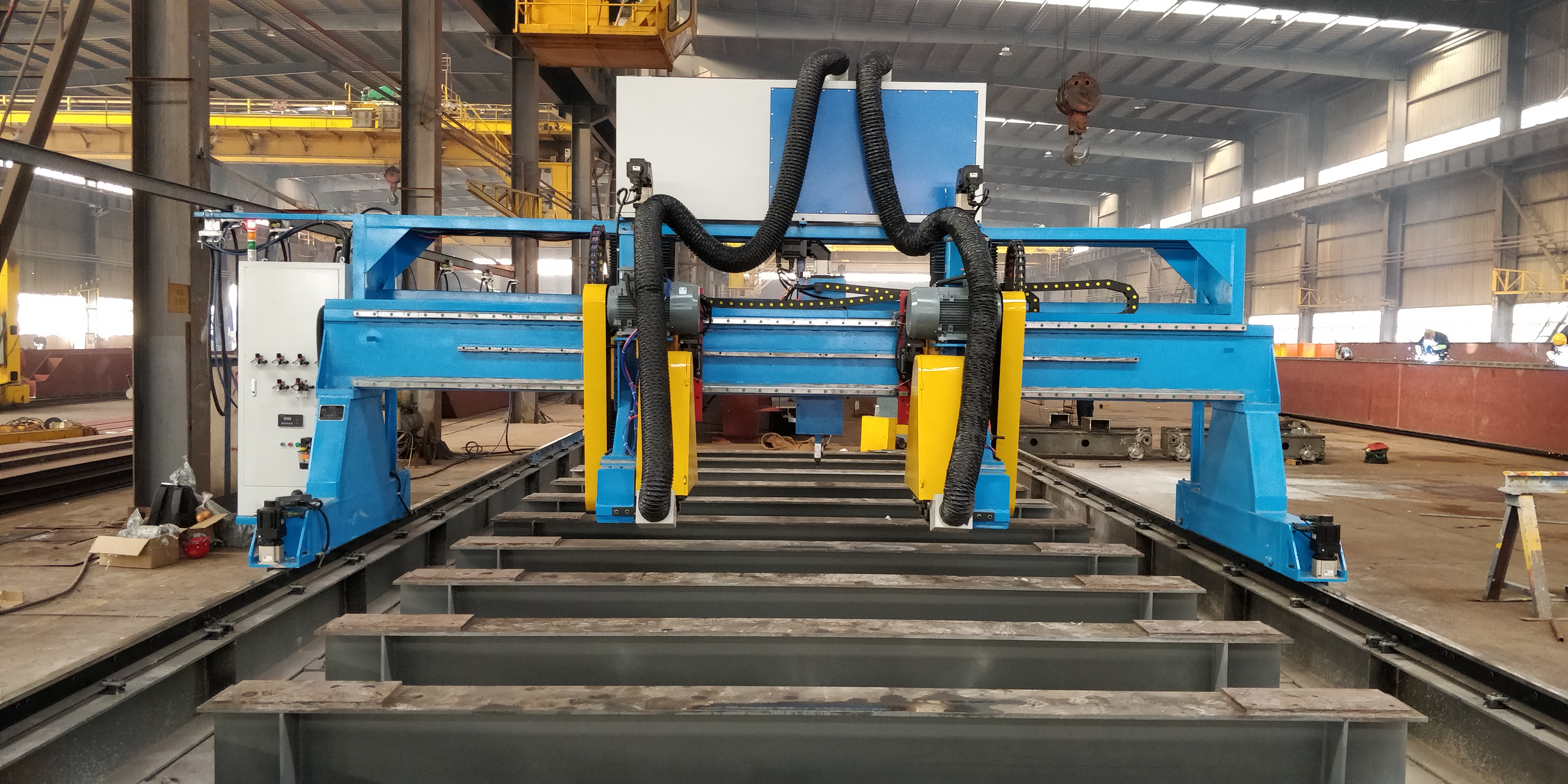 ˫ĥͷƽ���׹��